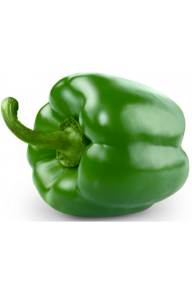 Poivron Vert   400/500 gr cat 2